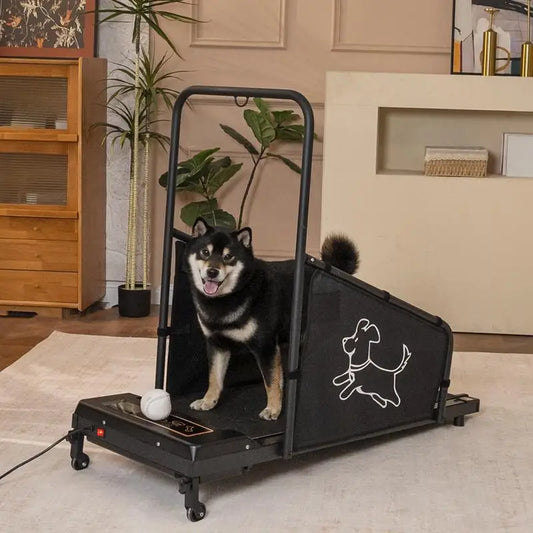 Pet Exercise Equipment for Running and Walking Activities