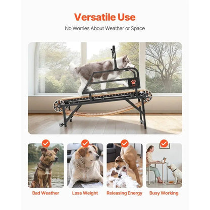 Treadmill for Dogs Supporting Up to 220 lbs.