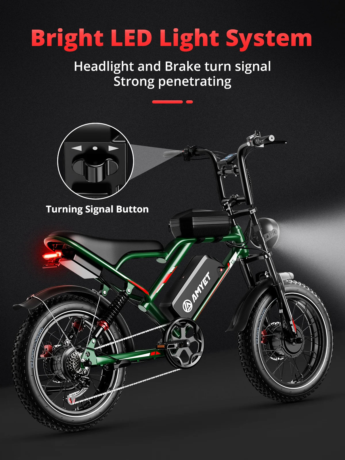 Adults Electric Bike with 2000W Dual Motor