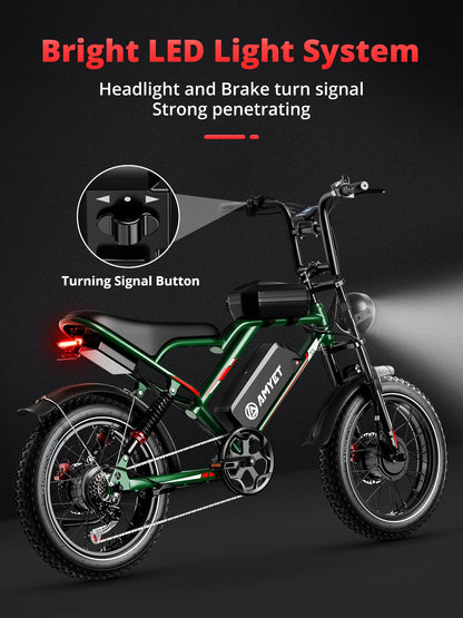 Adults Electric Bike with 2000W Dual Motor