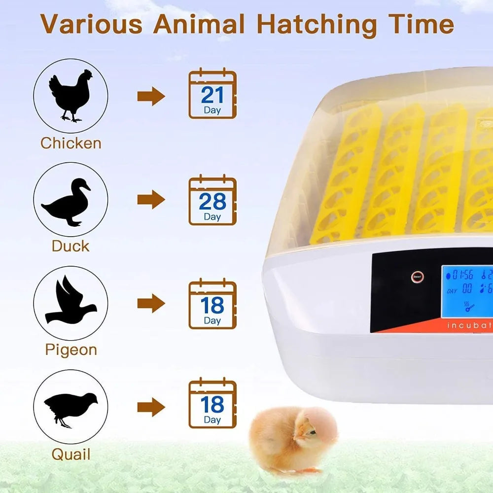High quality 55 Egg Incubator with Humidity Display