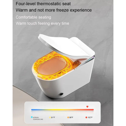 Luxury Smart Toilet with Water Tank, Auto Close Lid