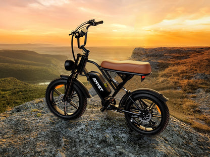 1000W Motor Bicycle 48V 20AH 20“Tire Mountain Ebike.