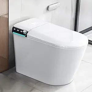 Luxury Smart Toilet with Water Tank, Auto Close Lid