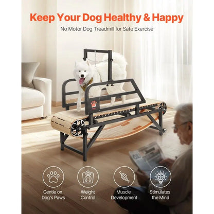 Treadmill for Dogs Supporting Up to 220 lbs.