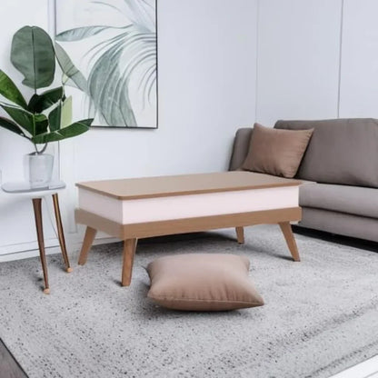 Lift Top Coffee Center Table with Hidden Storage