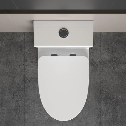 12"in One Piece Elongated Modern Toilet