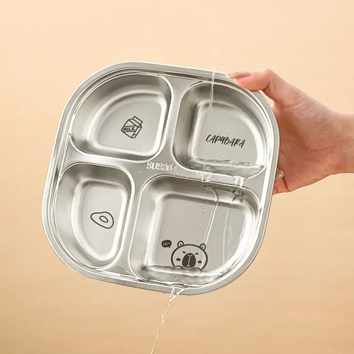 Reusable Square Divided Dinning Plates