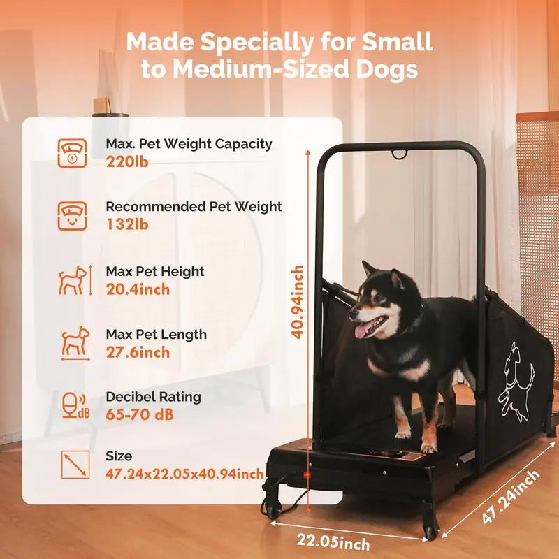 Pet Exercise Equipment for Running and Walking Activities