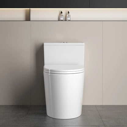 12"in One Piece Elongated Modern Toilet