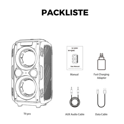 250W PEAK Large Bluetooth Speaker Massive 120dB/12