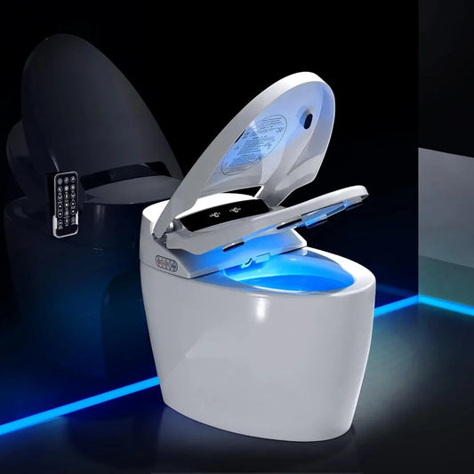 Toilets with Warm Water Sprayer & Dryer, with Fahrenheit LED Display