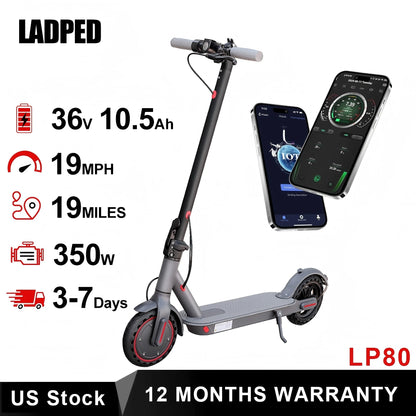 350W 19mph waterproof Electric Scooter with Shock-absorbing