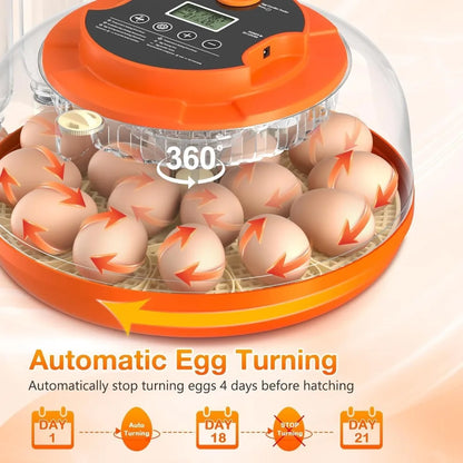 18 Egg Incubator with Automatic Egg Turning