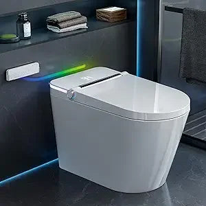 Luxury Smart Toilet with Water Tank, Auto Close Lid