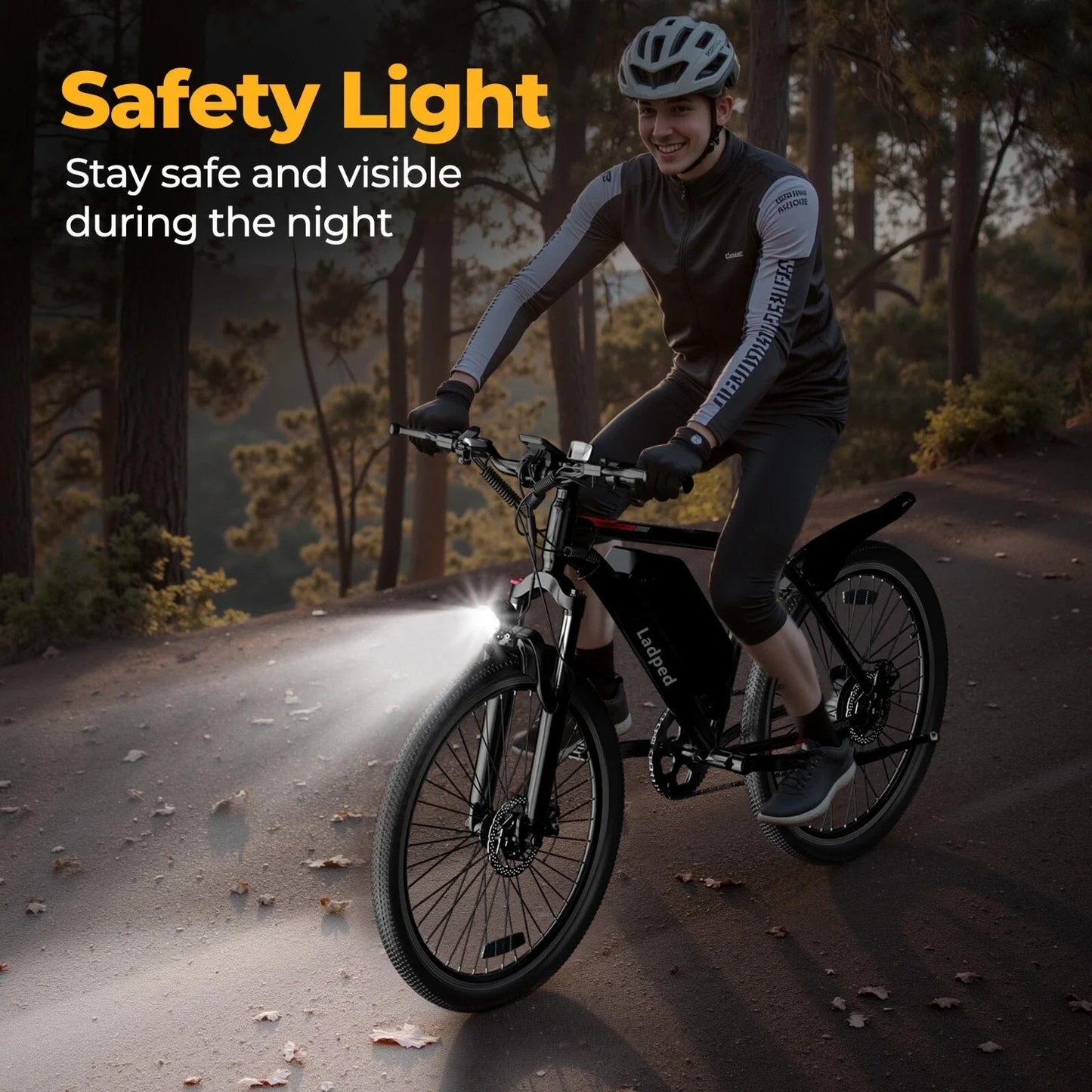7 Speed Long Range Electric Mountain Bike