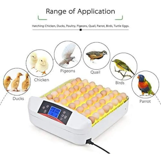 High quality 55 Egg Incubator with Humidity Display