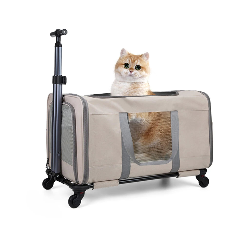 Cat trolley for 2 cats with wheels & safety belts for travel