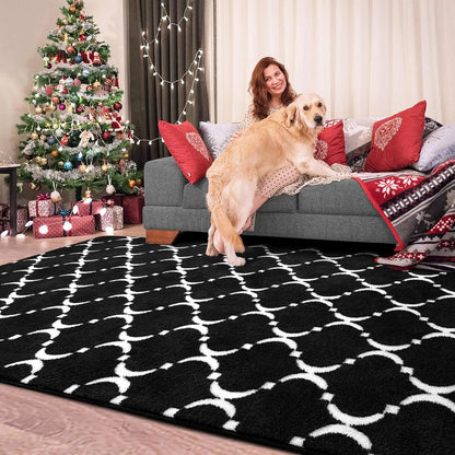 Large Shag Area Rug Memory Foam Indoor Carpet for Kids Room Decor