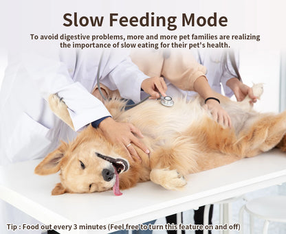 Smart Automatic Cat Wi-Fi Pet Feeder with APP Control for Remote Feeding