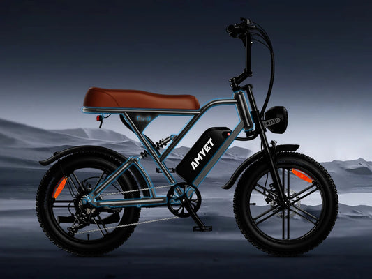 1000W Motor Bicycle 48V 20AH 20“Tire Mountain Ebike.