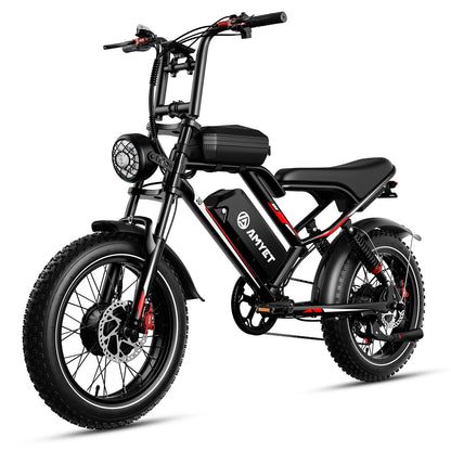 Adults Electric Bike with 2000W Dual Motor