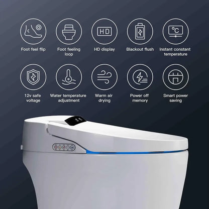 Toilets with Warm Water Sprayer & Dryer, with Fahrenheit LED Display