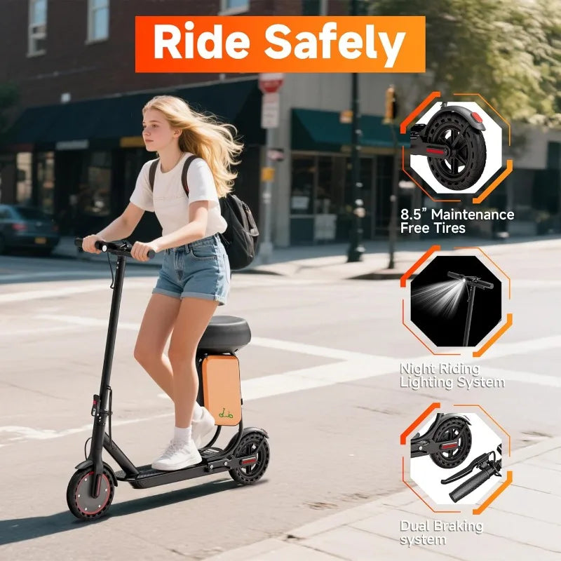 Electric Scooter With 350W Motor with Dual Braking System